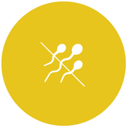 Emergency contraception icon