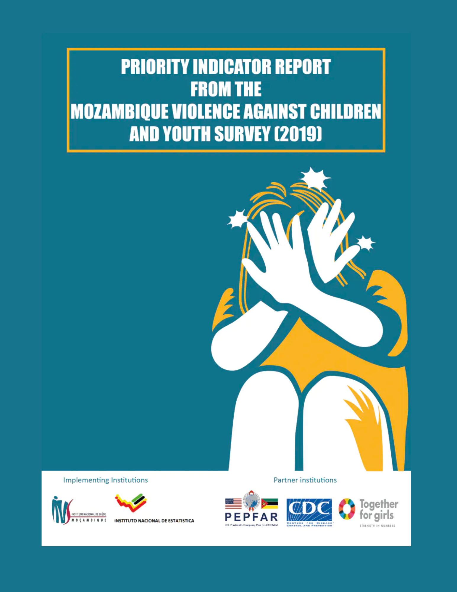 Priority indicator report from the Mozambique VACS 2019