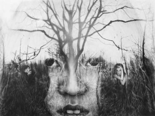 Roots by Lauren