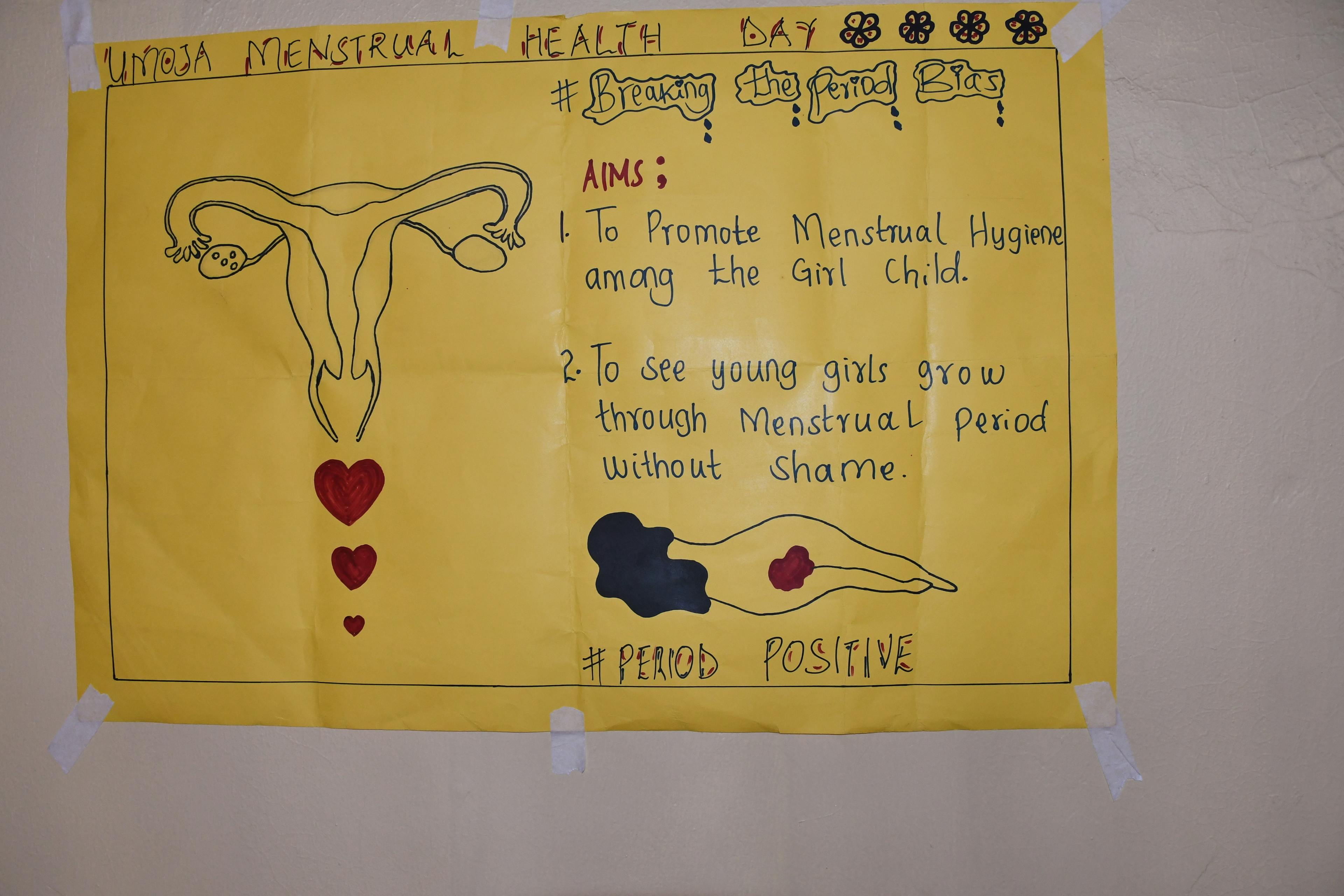 DREAMS LVCT Kenya menstrual class 2