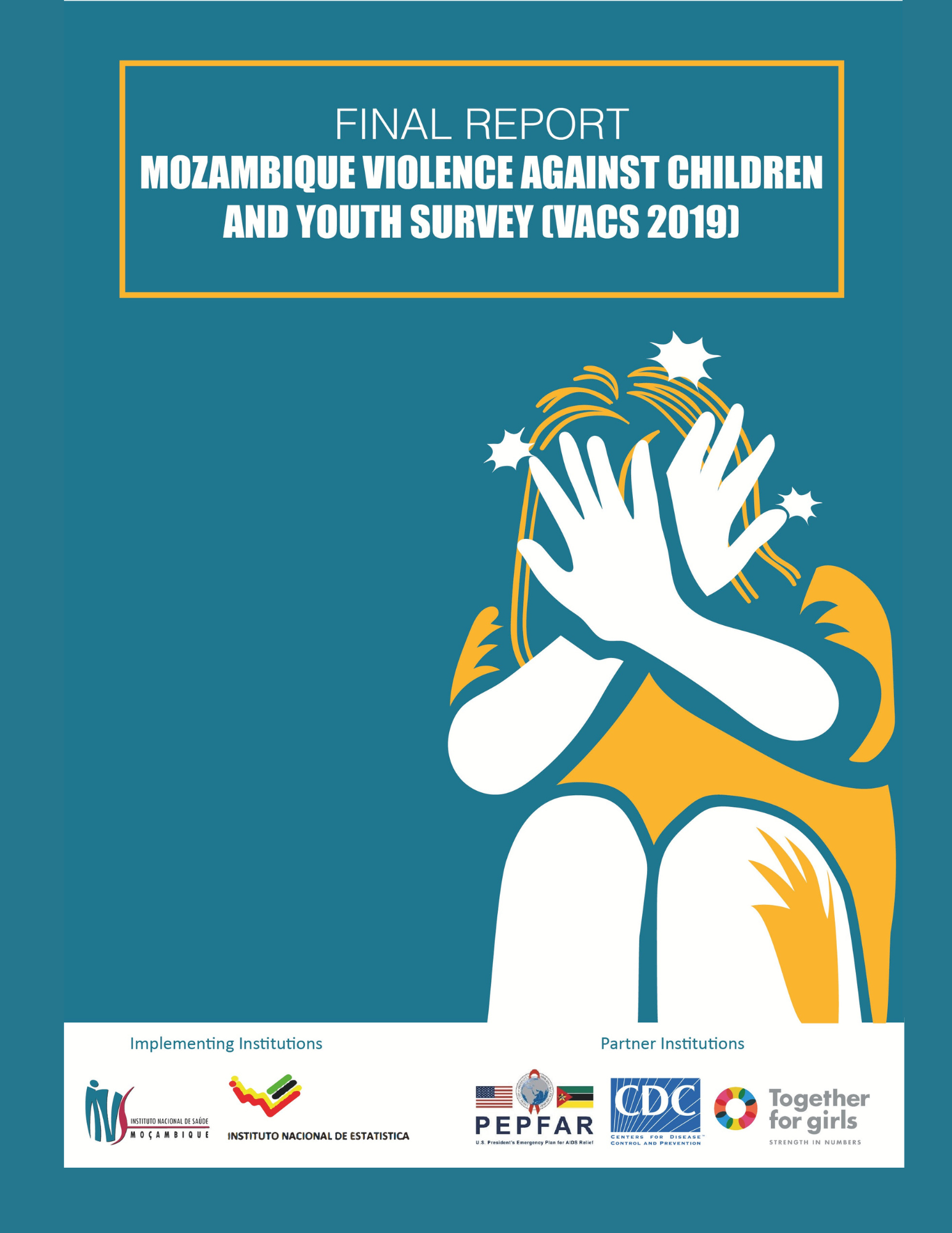Mozambique VACS report